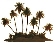 Desert Island